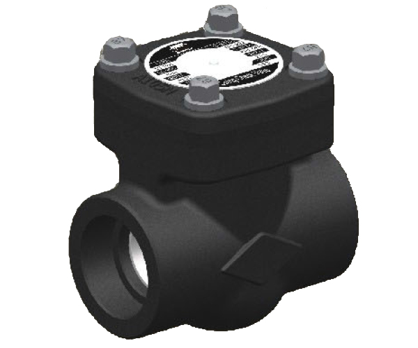 Forged Steel Check Valve