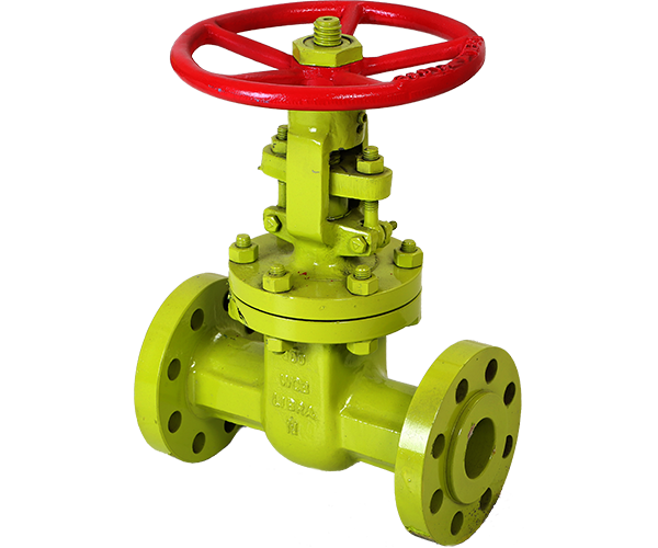 Swing Check Valve 150/300/600